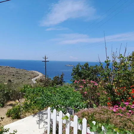 Silver View * באטסי