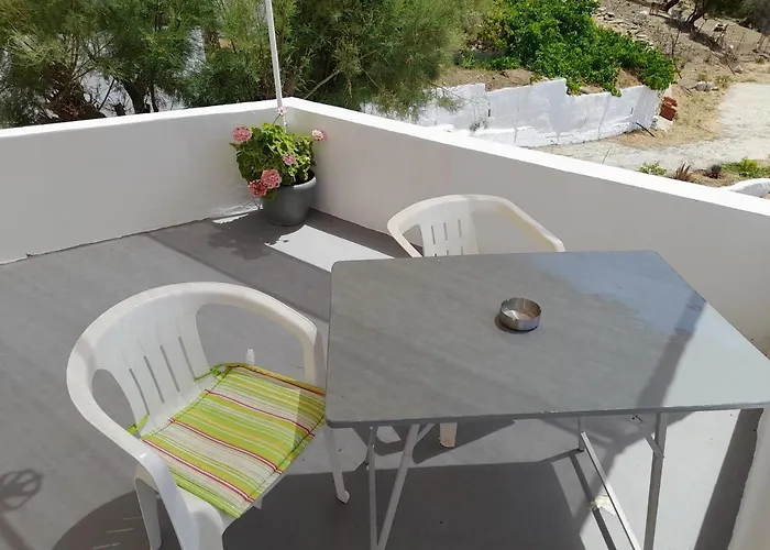 Silver View באטסי