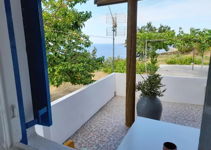 Silver View * Mpatsi