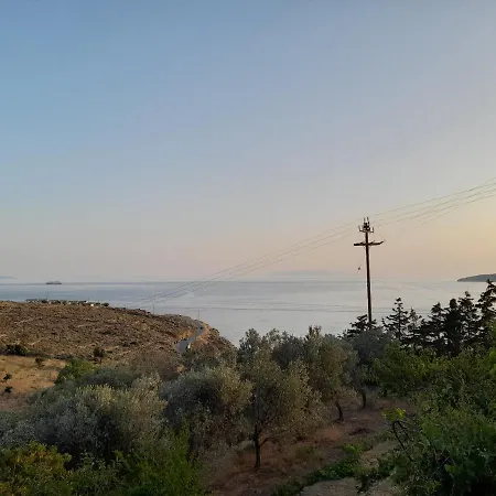 Silver View