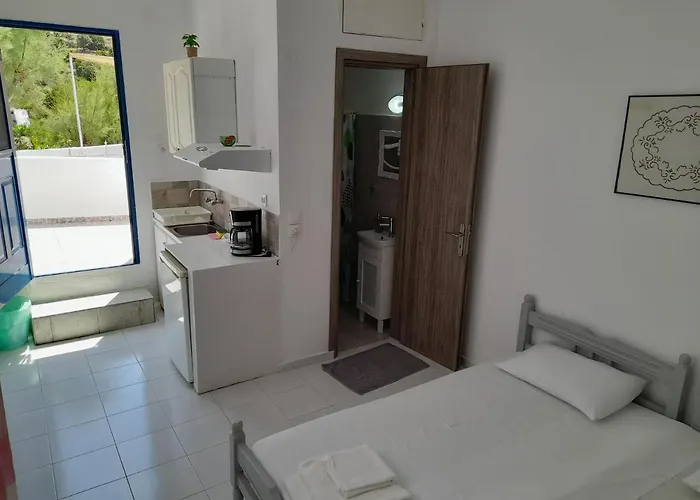 Silver View Apartamento Batsi (Andros)